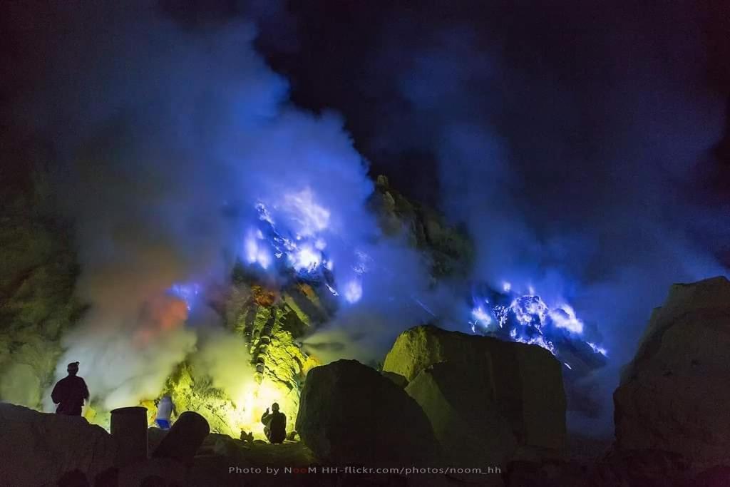 Dannu'S Homestay Ijen And Bromo Tour Banyuwangi  Esterno foto