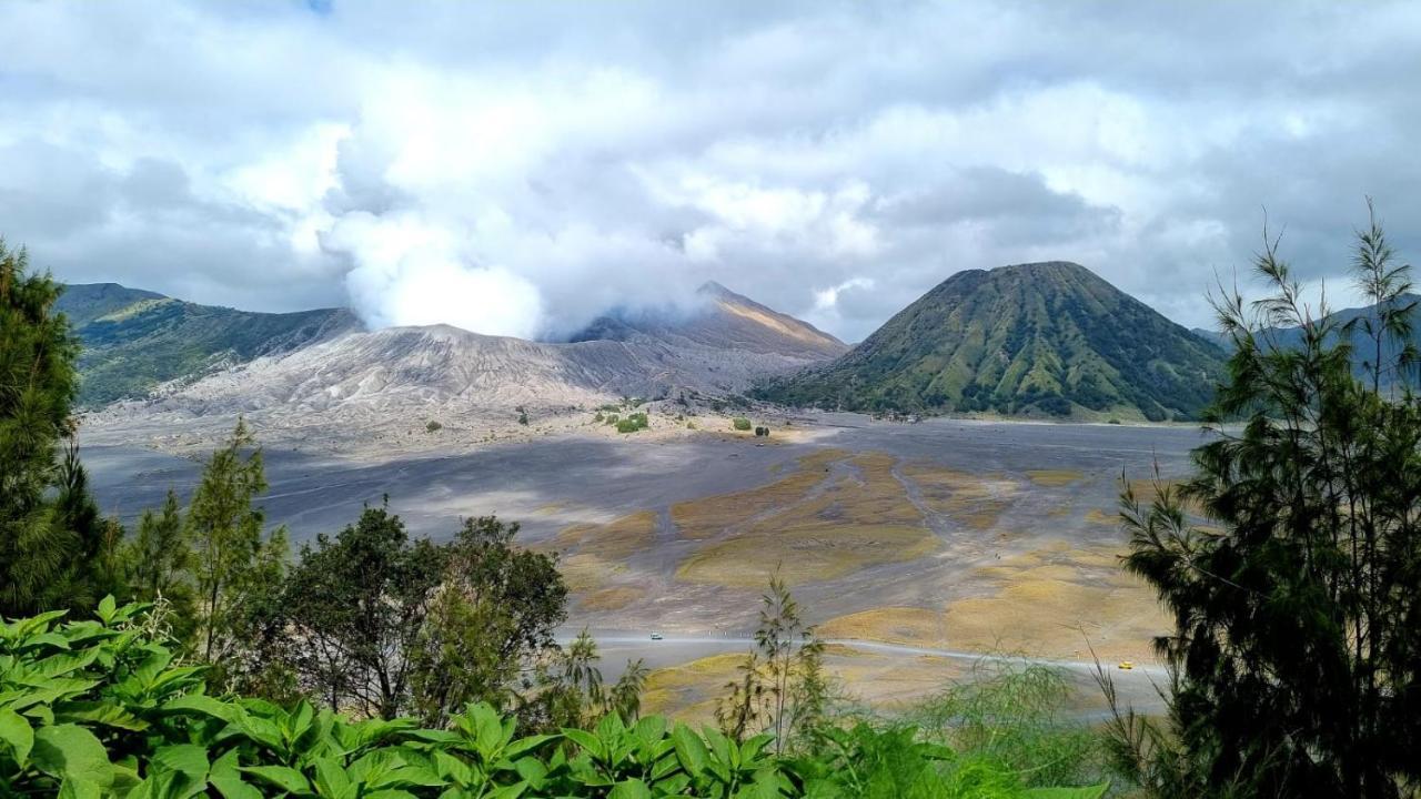 Dannu'S Homestay Ijen And Bromo Tour Banyuwangi  Esterno foto